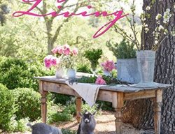 Patina Living, Design Book
Gibbs Smith
Layton, UT