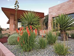 Patio
Garden Design
Calimesa, CA