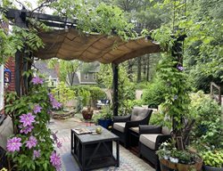 Patio Pergola With Vines
Alli Guleria
Washington D.C., 
