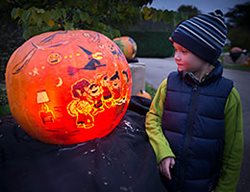 Peanuts Characters, Pumpkin, Kid
Garden Design
Calimesa, CA