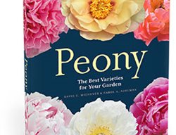 Peony
Garden Design
Calimesa, CA