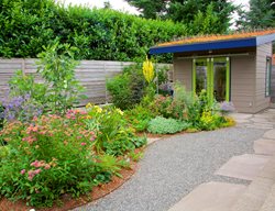 Perennial Border, Gravel And Shed
Garden Design
Calimesa, CA