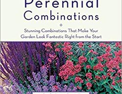 Perennial Combinations, Gardening Book
Garden Design
Calimesa, CA