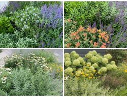Perennial Garden Seasons
Fieldwork Design Group
IL