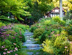 Perfect Pairing
Garden Design
Calimesa, CA