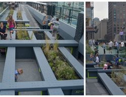 Pershing Square Beams
Garden Design
Calimesa, CA