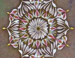 Peruvian Lily
Garden Design
Calimesa, CA