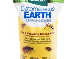 Pest Control
Garden Design
Calimesa, CA