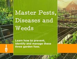 Pests, Disease & Weed Course
Garden Design
Calimesa, CA