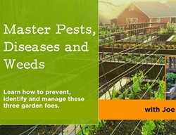 Pests, Diseases And Weeds Course
JoeGardener
