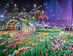 Philadelphia, Flower Show, Entry Garden
Garden Design
Calimesa, CA