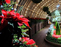 Phipps Winter
Garden Design
Calimesa, CA