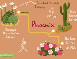 Phoenix Day Trip
Garden Design
Calimesa, CA