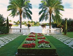 Phoenix Palms
Garden Design
Calimesa, CA