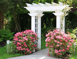 Pick A Fall Or Winter Project
Garden Design
Calimesa, CA