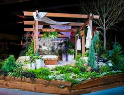 Pick A Flower Show To Attend
Garden Design
Calimesa, CA