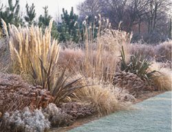 Piet Oudolf
Garden Design
Calimesa, CA