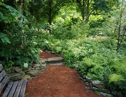  Pine Needle Path, Oak Bench
Rick Darke LLC
Landenberg, PA