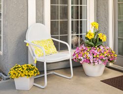 Pink And Yellow Flowering Pots
Proven Winners
Sycamore, IL