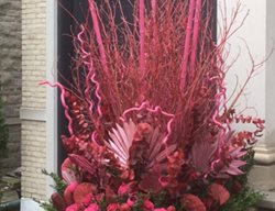 Pink Winter Holiday Container
Garden Design
Calimesa, CA