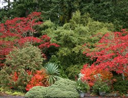 Plan Your Visit To The Elisabeth C. Miller Botanic Garden
Garden Design
Calimesa, CA
