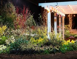 Plan Your Visit To The Northwest Flower & Garden Show
Garden Design
Calimesa, CA