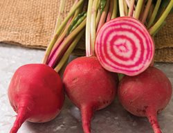 Plant Cool-Season Crops 
Garden Design
Calimesa, CA