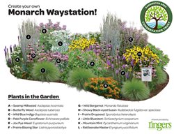 Plant For Butterflies
Garden Design
Calimesa, CA