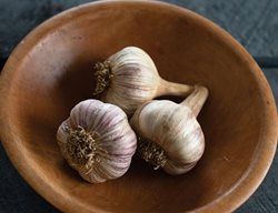 Plant Garlic
Garden Design
Calimesa, CA