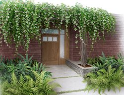 Plant Hunter
Garden Design
Calimesa, CA