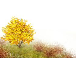 Plant Hunter
Garden Design
Calimesa, CA
