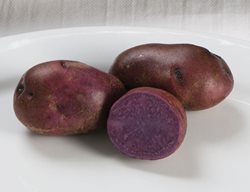 Plant Potatoes
Garden Design
Calimesa, CA