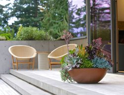 Plant Succulents & Cacti In Containers
Garden Design
Calimesa, CA