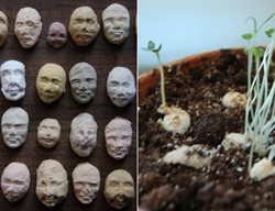 Plantable Seed Faces Homepage Tout
Garden Design
Calimesa, CA