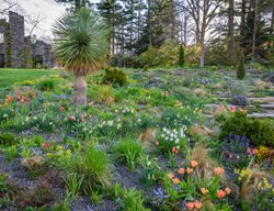 Planted Palettes
Garden Design
Calimesa, CA