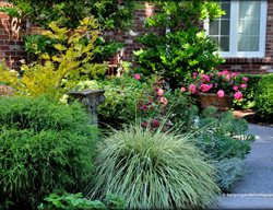 Planter Bed, Perennials
Garden Design
Calimesa, CA