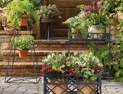 Planters And Stands
Frontgate
West Chester, OH
