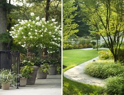 Planters And Walk
The LaurelRock Company
Wilton, CT