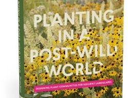 Planting In A Post Trump World
Garden Design
Calimesa, CA