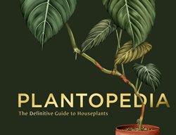 Plantopedia Book
Garden Design
Calimesa, CA