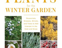 Plants For The Winter Garden Book, Warren Leach
Garden Design
Calimesa, CA