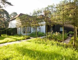 Pleached Crab Apple Trees
Garden Design
Calimesa, CA