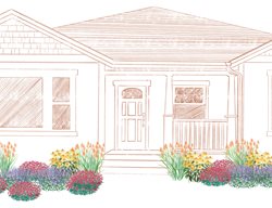 Pollinator Garden Foundation Planting
Proven Winners
Sycamore, IL