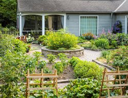 Pollinator Garden With Edibles, Pollinator Garden
Proven Winners
Sycamore, IL