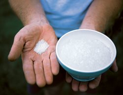 Polymer Cyrstals,  Water Storing Crystals
Garden Design
Calimesa, CA