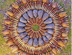 Ponderosa Pine Cones 
Garden Design
Calimesa, CA