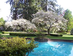 Pool
Garden Design
Calimesa, CA