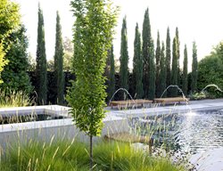 Pool With Fountains And Trees
Garden Design
Calimesa, CA