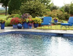 Poolside Chairs And Plants
Proven Winners
Sycamore, IL