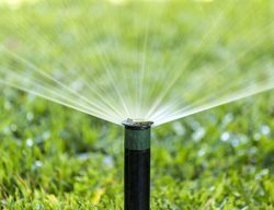 Pop-Up Sprinkler, Watering Lawn, Irrigation
Shutterstock.com
New York, NY